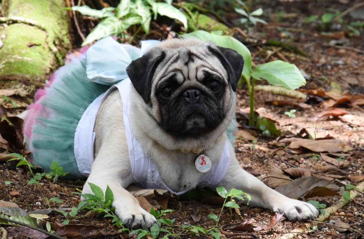Pousada Portal Do Cacau-Petfriendly Camburi  Eksteriør bilde