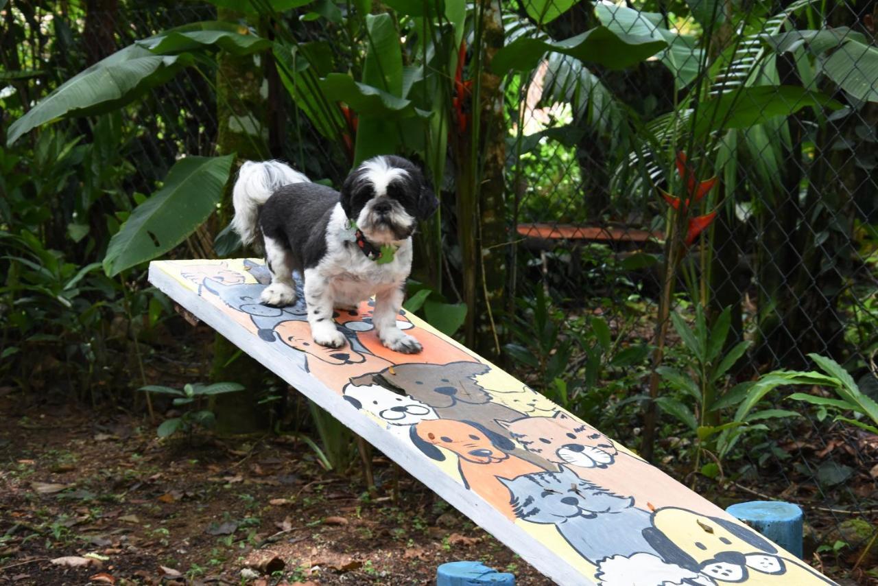 Pousada Portal Do Cacau-Petfriendly Camburi  Eksteriør bilde